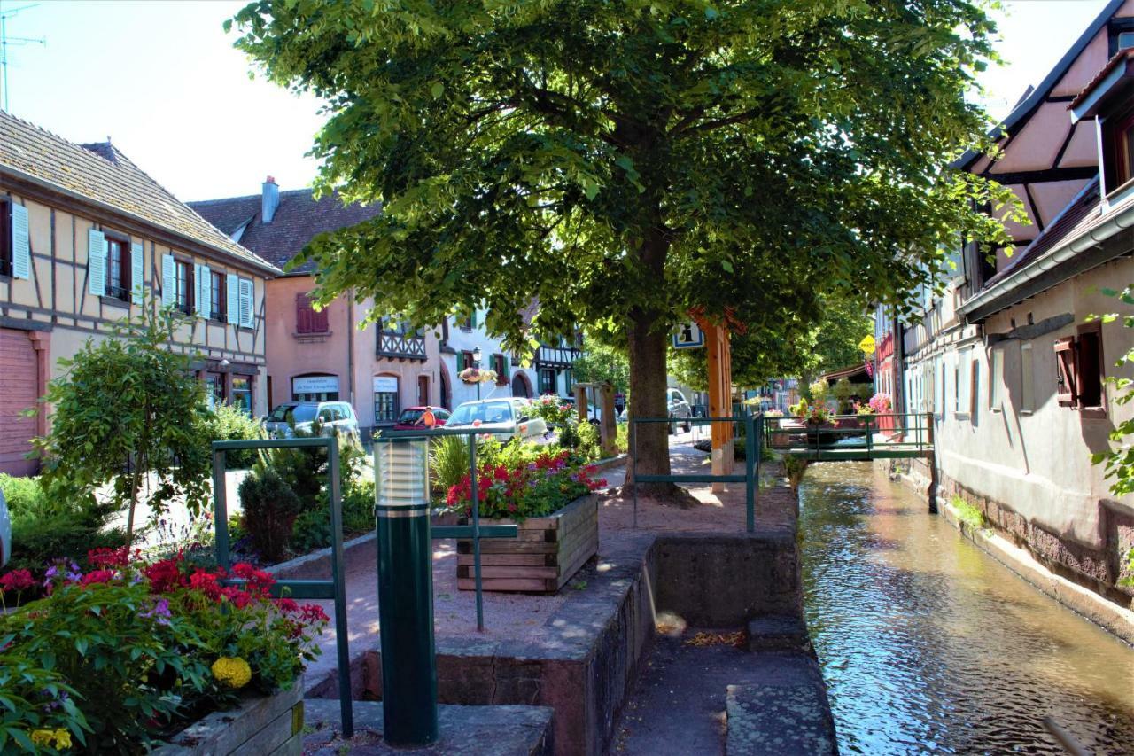 La Halte Des Vignes - Route Des Vins D'Alsace Lejlighed Scherwiller Eksteriør billede