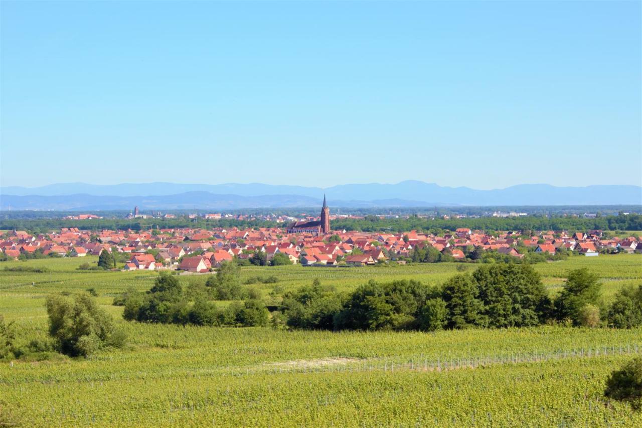 La Halte Des Vignes - Route Des Vins D'Alsace Lejlighed Scherwiller Eksteriør billede